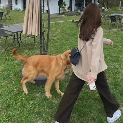 同为异类